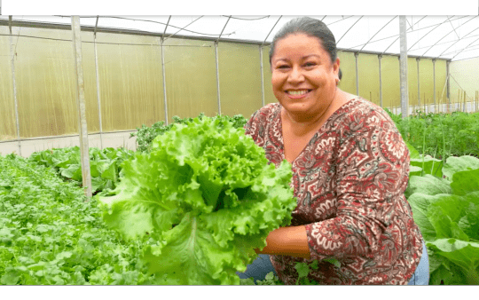 Mujer semilla es un proyecto del INA que ya ha capacitado a más de 1OO mujeres