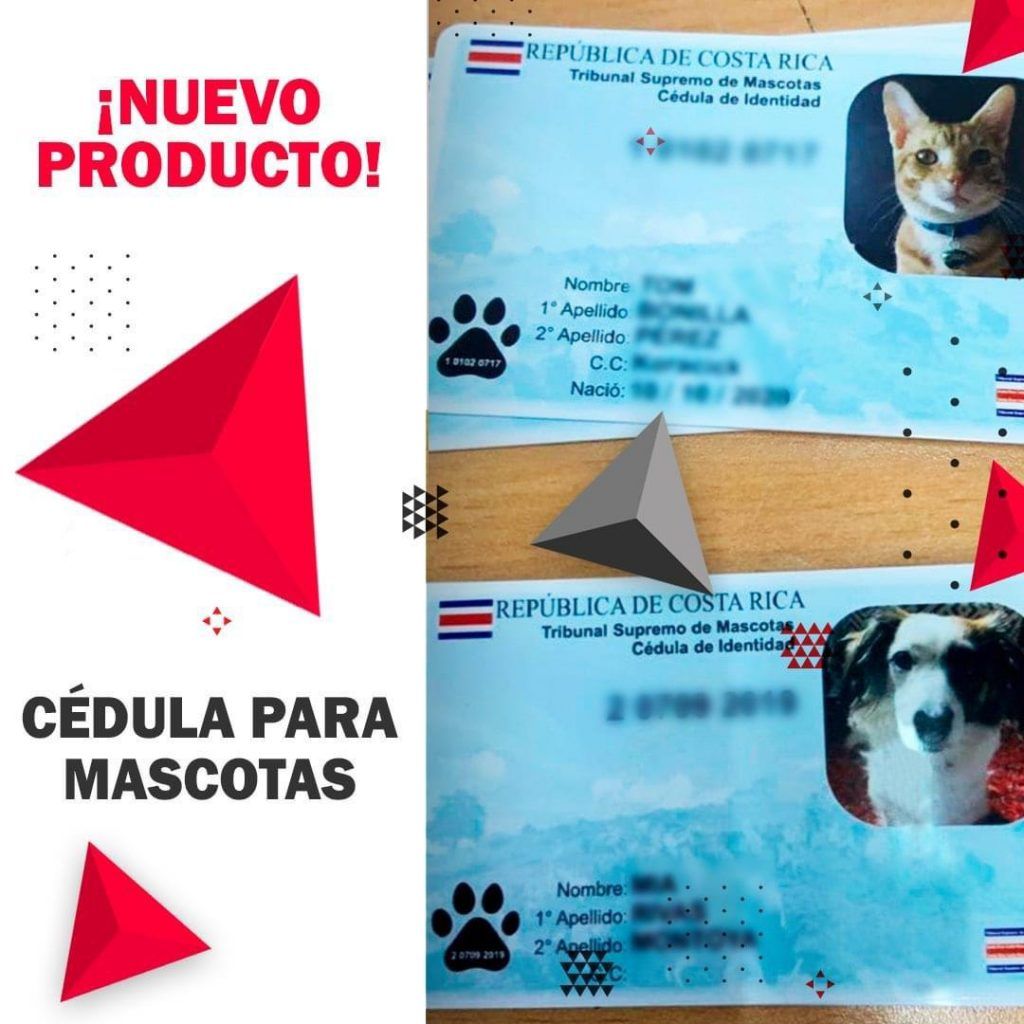 Las cédulas para mascotas son uno de los productos más innovadores de Servicios Gráficos GMS
