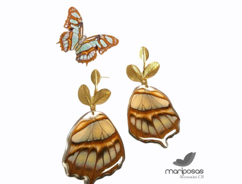Las alas son compradas en cuatro zoocriaderos nacionales