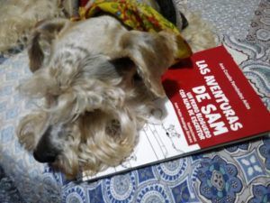 El libro de Sam está escrito en "primera persona"