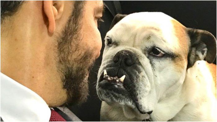 Derbez ha alzado la voz a favor del respeto por los animales