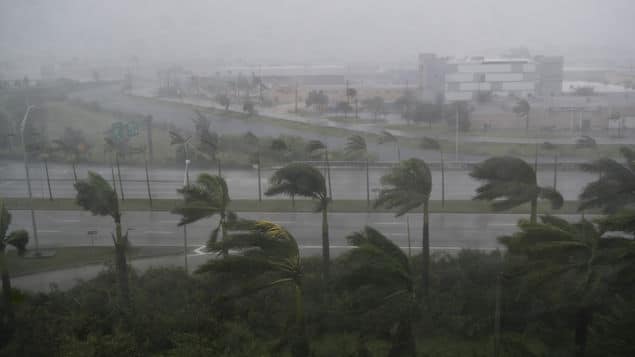 El ruido del Huracán Irma ha impresionado a miles