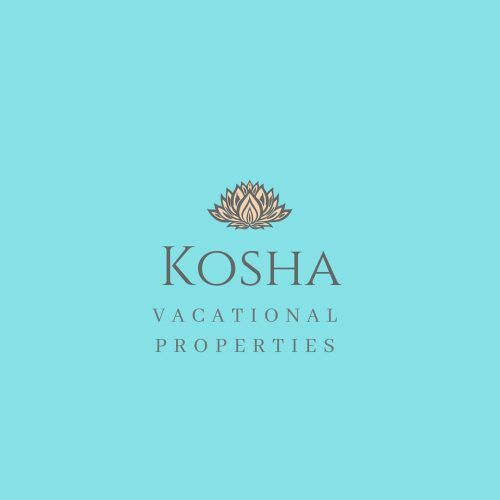 En 2020, Melissa le dio forma a su empresa KOSHA