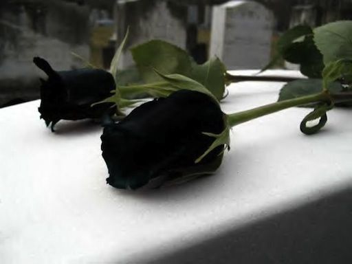 Madre e hijo fallecieron víctimas del COVID-19