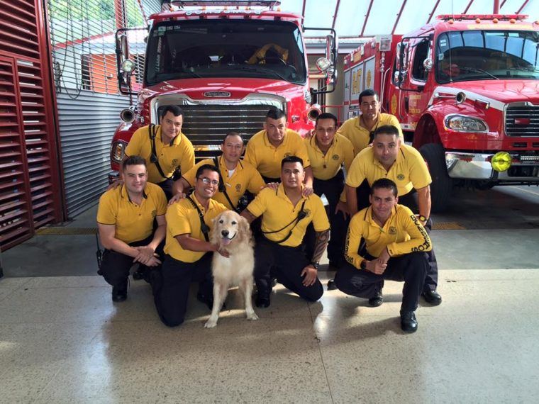 Zeus, el perro bombero